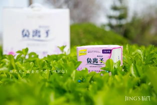 聚米婧氏健康生活日用品 引領日常健康新風尚